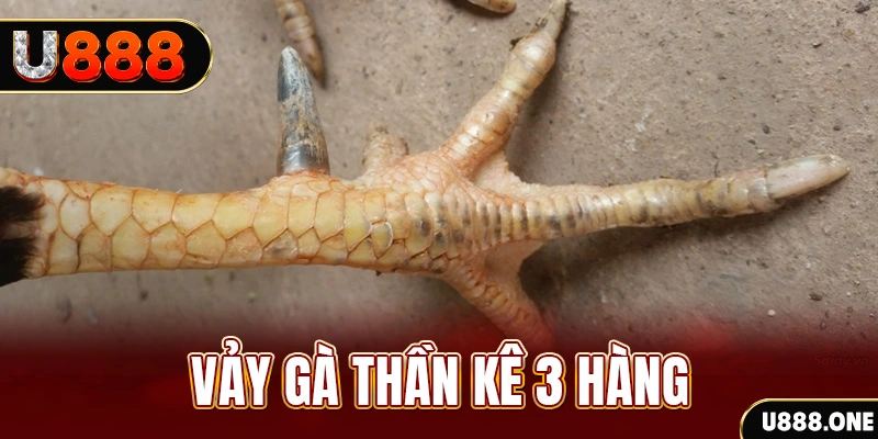 33 win nổ hũ đổi thưởng . ai