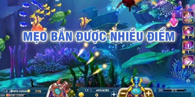 33 win đá gà