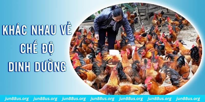 33 win xổ số thứ sáu hàng tuần