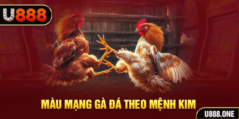 33 win gà chọi tiêu phong