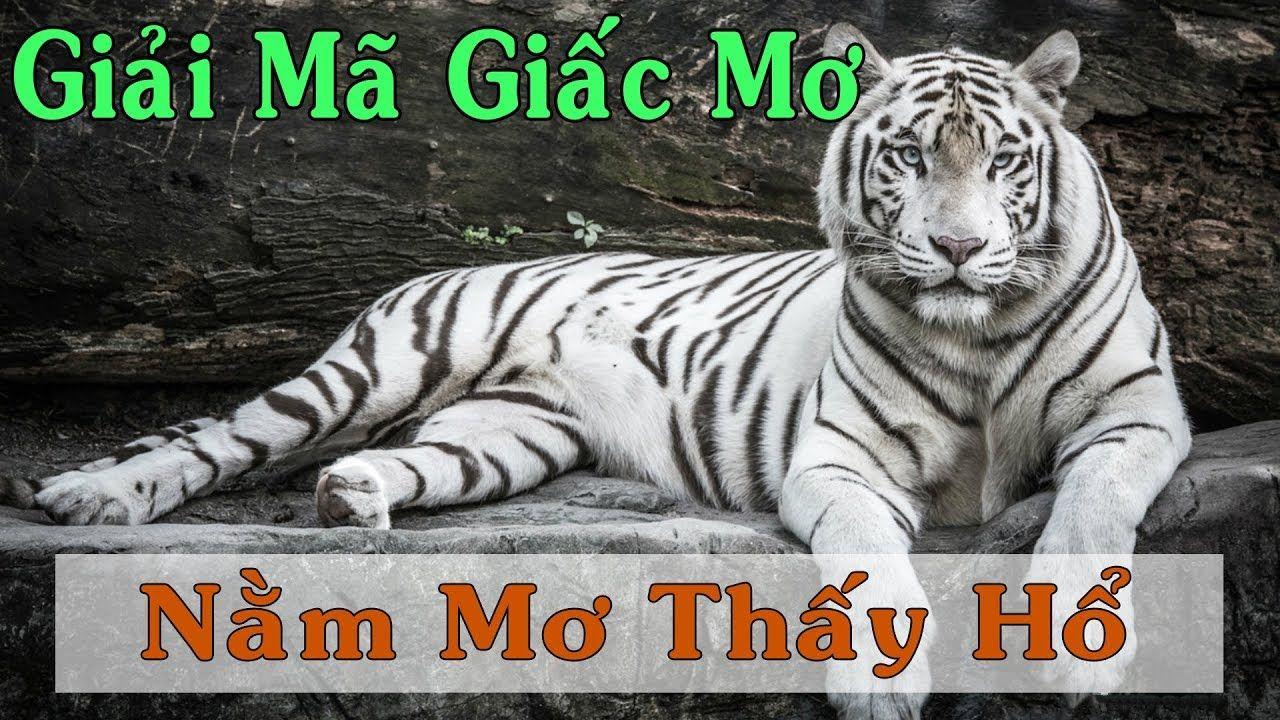 33 win xổ số miền trung