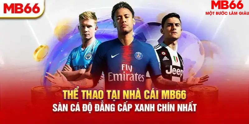 33 win HB Điện Tử