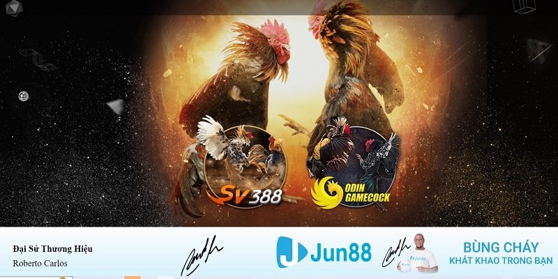 33 win xổ số miền nam hàng tuần