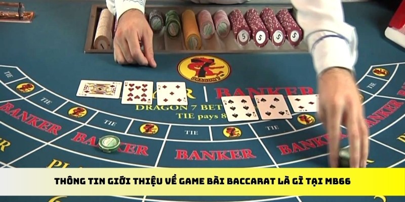 33 win xổ số trực tiếp miền bắc