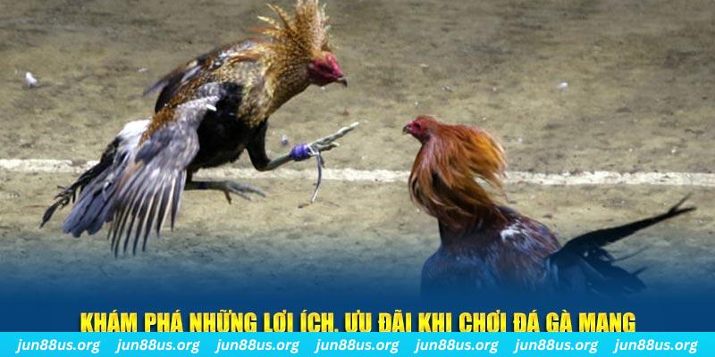 33 win Tài Xỉu 2