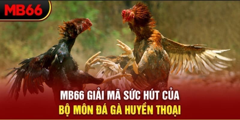 33 win long bảo trong baccarat là gì