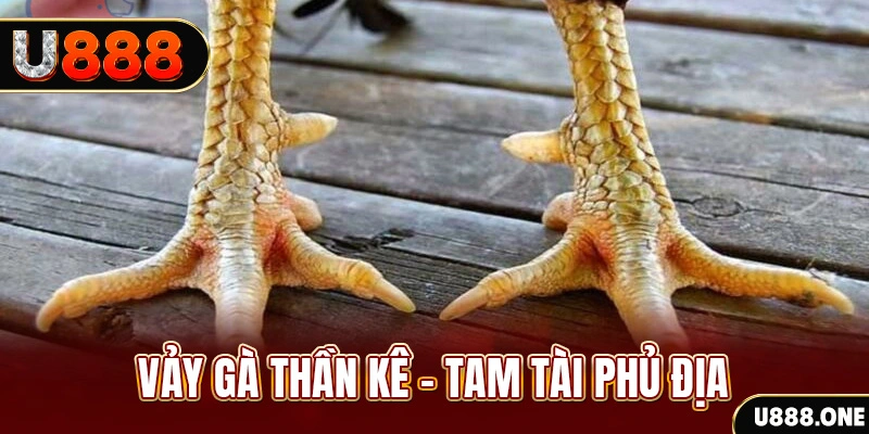 33 win xổ số 30 ngày