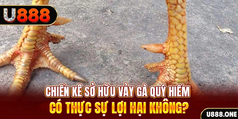 33 win game cá cược máy bay