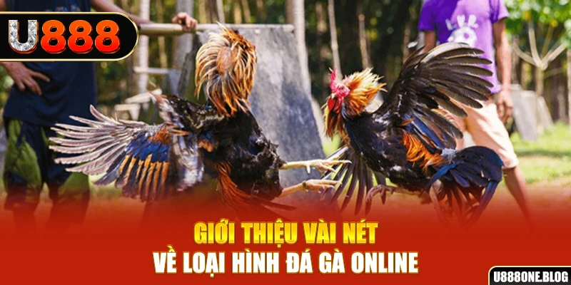 33 win xổ số miền nam thứ ba