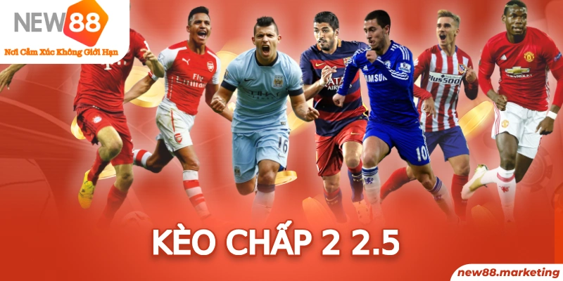 33 win trực tiếp đá gà thomo