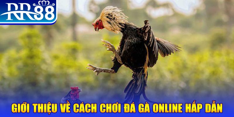 33 win nổ hũ 2 mặt là gì