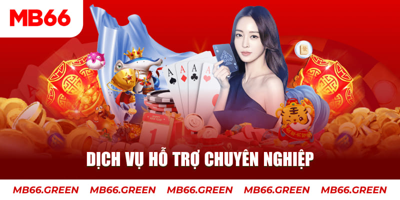 33 win gà chọi cậu thanh