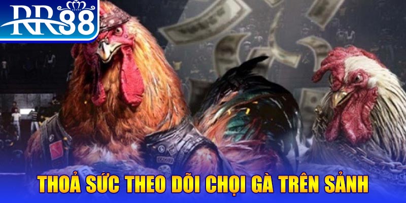 33 win NE Điện Tử