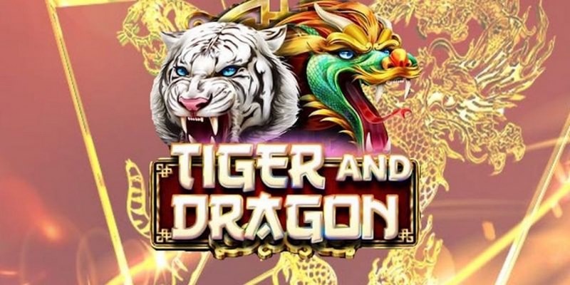 33 win cá cược tiếng anh là gì
