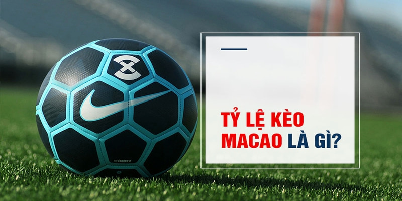33 win Trăm Knorr