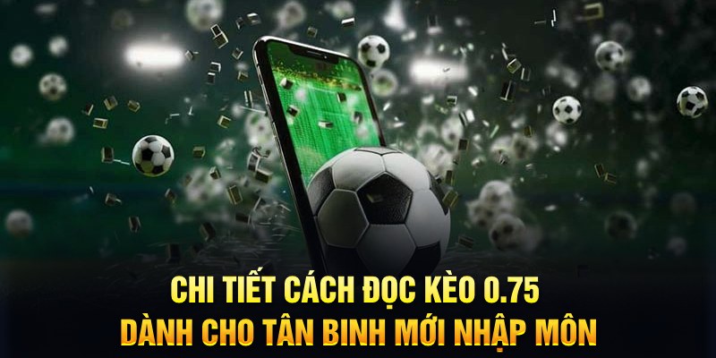 33 win sổ xô miên nam hôm nay