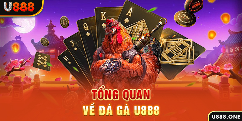 33 win what is casino bonus wagering
