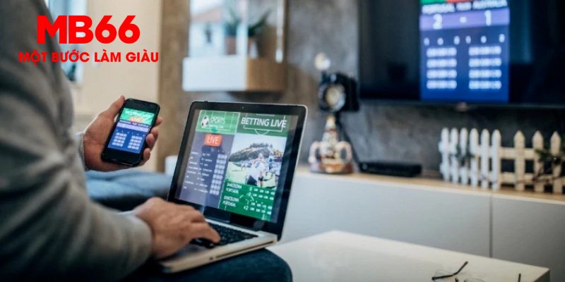33 win MW Điện Tử